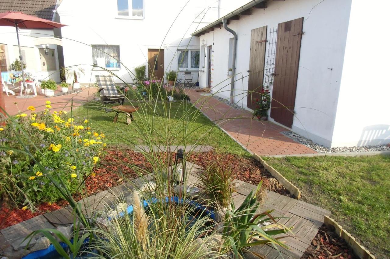 Ostseenahe Gartenidylle Eg Ribnitz-Damgarten Zewnętrze zdjęcie
